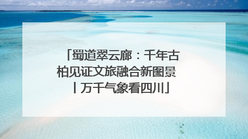 蜀道翠云廊：千年古柏见证文旅融合新图景丨万千气象看四川