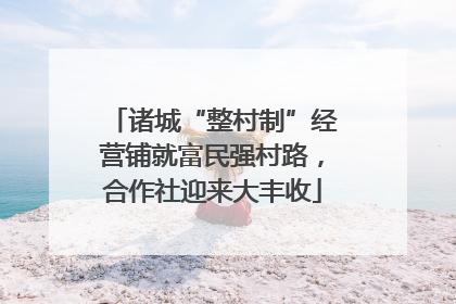 诸城“整村制”经营铺就富民强村路，合作社迎来大丰收