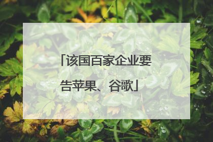 该国百家企业要告苹果、谷歌