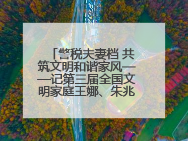 警税夫妻档 共筑文明和谐家风——记第三届全国文明家庭王娜、朱兆鹏家庭