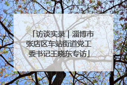 访谈实录｜淄博市张店区车站街道党工委书记王晓东专访