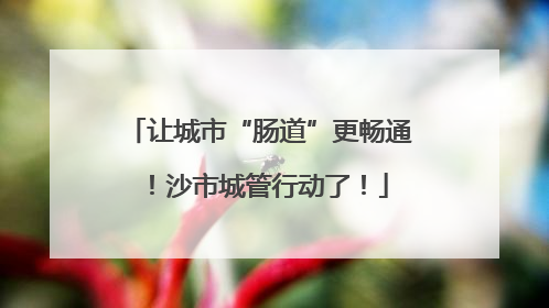 让城市“肠道”更畅通！沙市城管行动了！