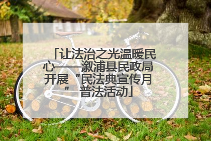 让法治之光温暖民心——溆浦县民政局开展“民法典宣传月” 普法活动