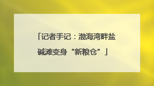 记者手记：渤海湾畔盐碱滩变身“新粮仓”