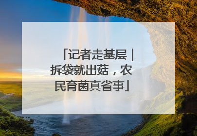 记者走基层｜拆袋就出菇，农民育菌真省事