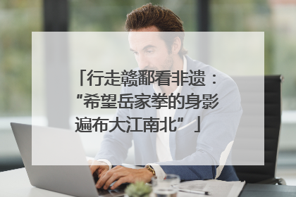 行走赣鄱看非遗：“希望岳家拳的身影遍布大江南北”