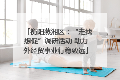 衡阳蒸湘区：“走找想促”调研活动 助力外经贸事业行稳致远