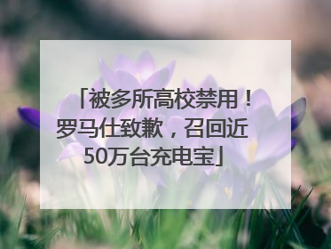 被多所高校禁用！罗马仕致歉，召回近50万台充电宝