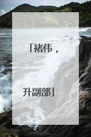 褚伟，升副部