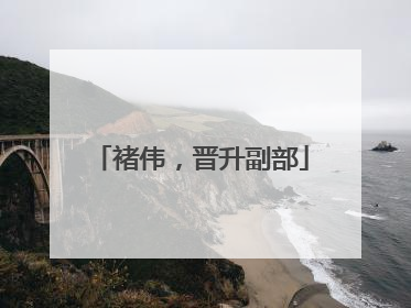 褚伟，晋升副部