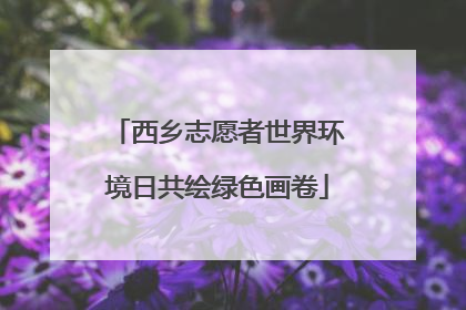 西乡志愿者世界环境日共绘绿色画卷