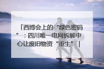 西博会上的“绿色密码”：四川唯一电网拆解中心让废旧物资“重生”｜西博寻“新”记