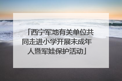 西宁军地有关单位共同走进小学开展未成年人暨军娃保护活动
