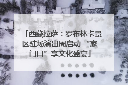 西藏拉萨：罗布林卡景区驻场演出周启动 “家门口”享文化盛宴