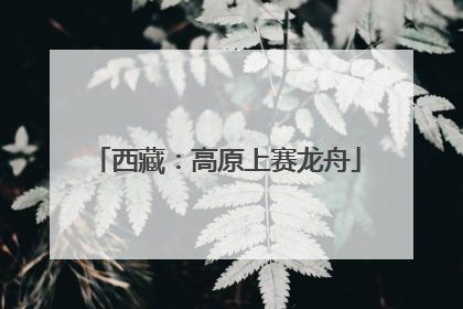 西藏：高原上赛龙舟