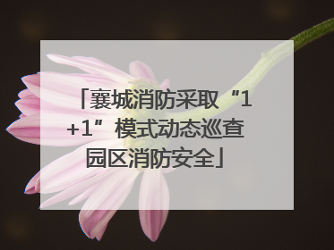 襄城消防采取“1+1”模式动态巡查园区消防安全