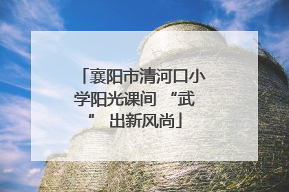襄阳市清河口小学阳光课间 “武” 出新风尚