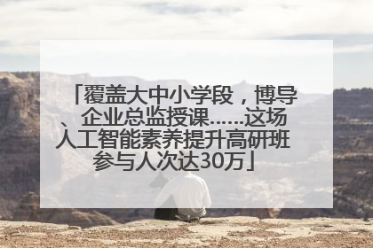 覆盖大中小学段，博导、企业总监授课……这场人工智能素养提升高研班参与人次达30万