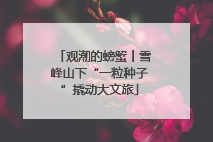 观潮的螃蟹丨雪峰山下“一粒种子”撬动大文旅