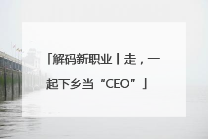解码新职业丨走，一起下乡当“CEO”
