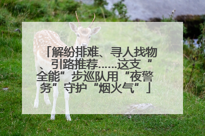 解纷排难、寻人找物、引路推荐……这支“全能”步巡队用“夜警务”守护“烟火气”