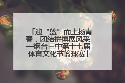 迎“篮”而上扬青春，团结拼搏展风采—烟台三中第十七届体育文化节篮球赛
