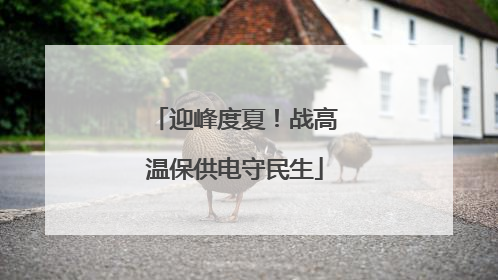 迎峰度夏！战高温保供电守民生