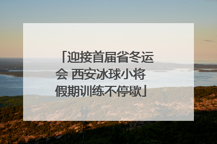 迎接首届省冬运会 西安冰球小将假期训练不停歇