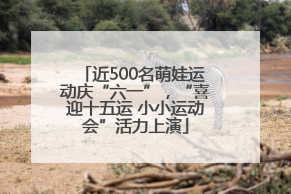 近500名萌娃运动庆“六一”，“喜迎十五运 小小运动会”活力上演