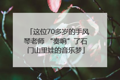 这位70多岁的手风琴老师 “奏响”了石门山里娃的音乐梦