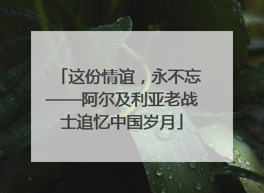 这份情谊，永不忘——阿尔及利亚老战士追忆中国岁月