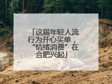 这届年轻人流行为开心买单，“情绪消费”在合肥兴起