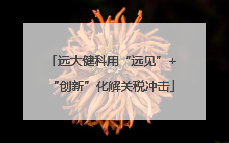 远大健科用“远见”+“创新”化解关税冲击
