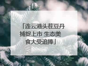 连云港头茬豆丹捕捉上市 生态美食大受追捧