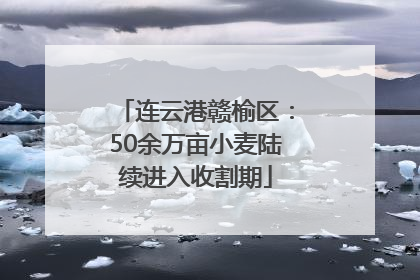 连云港赣榆区：50余万亩小麦陆续进入收割期