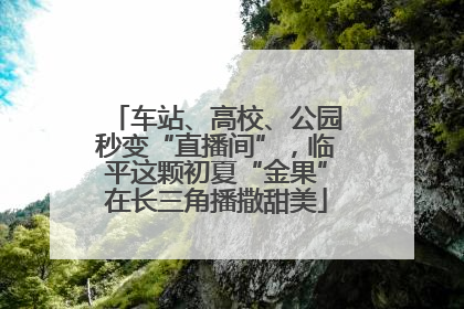 车站、高校、公园秒变“直播间”，临平这颗初夏“金果”在长三角播撒甜美