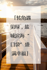 转角遇见绿，盐城滨海“口袋”盛满幸福