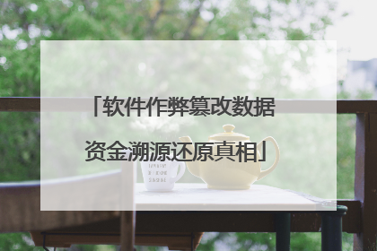 软件作弊篡改数据 资金溯源还原真相