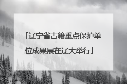 辽宁省古籍重点保护单位成果展在辽大举行