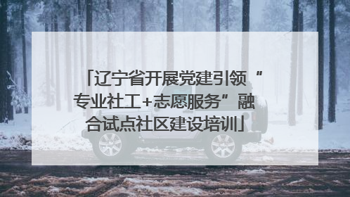 辽宁省开展党建引领“专业社工+志愿服务”融合试点社区建设培训