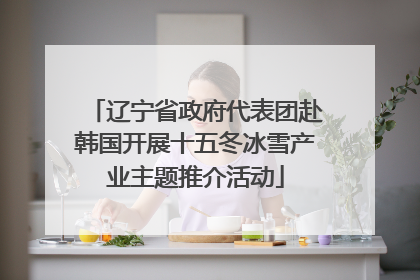 辽宁省政府代表团赴韩国开展十五冬冰雪产业主题推介活动
