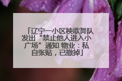 辽宁一小区秧歌舞队发出“禁止他人进入小广场”通知 物业：私自张贴，已撤掉