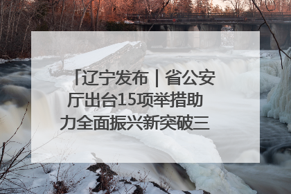 辽宁发布｜省公安厅出台15项举措助力全面振兴新突破三年行动决胜之战