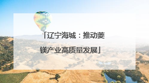 辽宁海城：推动菱镁产业高质量发展