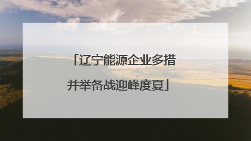 辽宁能源企业多措并举备战迎峰度夏