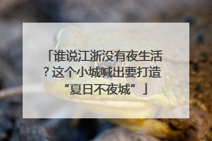 谁说江浙没有夜生活？这个小城喊出要打造“夏日不夜城”