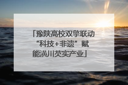 豫陕高校双擎联动 “科技+非遗”赋能潢川芡实产业