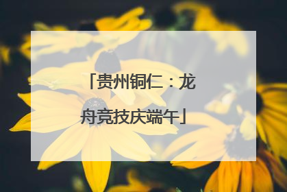 贵州铜仁：龙舟竞技庆端午