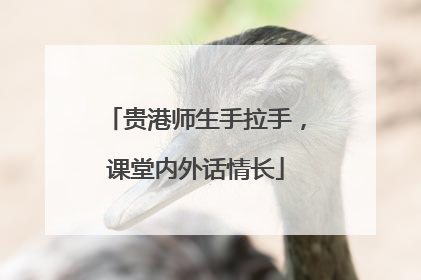 贵港师生手拉手，课堂内外话情长