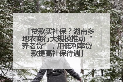 贷款买社保？湖南多地农商行大规模推动“养老贷”，用低利率贷款提高社保待遇